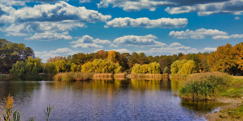 Autumn on the lake on the outskirts of the city