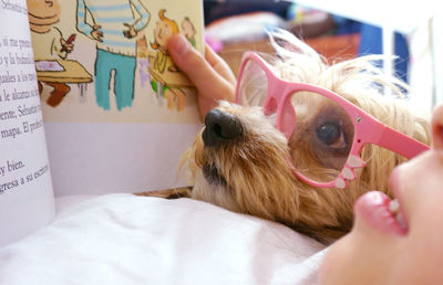 Close-up of woman with dog on bed