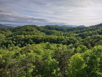 High angle view of trees and mountains against sky