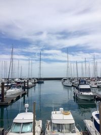Sailboats moored in harbor