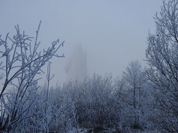 Bare trees on snow covered land against sky