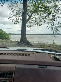 Trees by plants against sky seen through car windshield