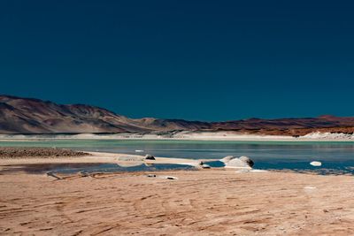 Scenic view of beach against clear blue sky