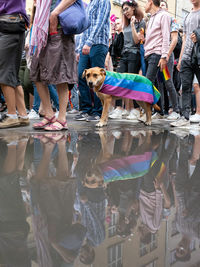 Group of people standing in water