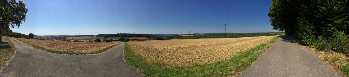 Dirt road passing through field