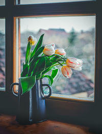 Potted plant on window sill at home