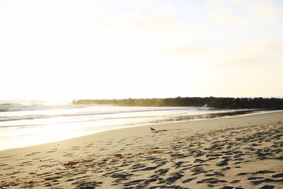 Scenic view of beach against clear sky