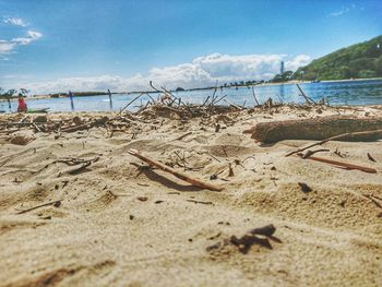 Close-up of beach against sky