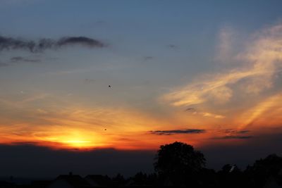 Silhouette birds flying against sky during sunset