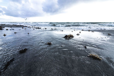 Scenic view of sea against sky during winter