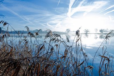 Scenic view of lake against sky during winter