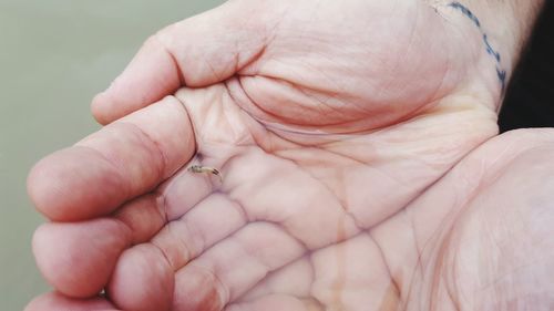 Close-up of man holding hands