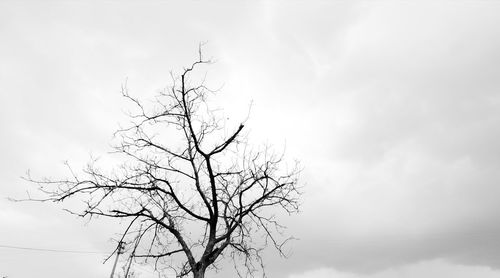 Low angle view of bare tree against sky