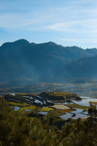 Scenic view of landscape against sky