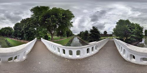 View of trees in park