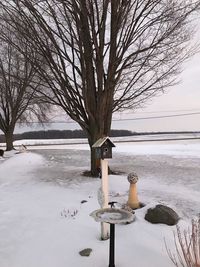 Bare tree on snow covered landscape during winter