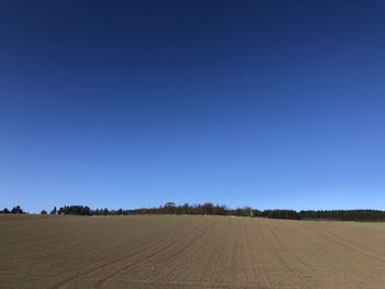 Scenic view of field against clear blue sky