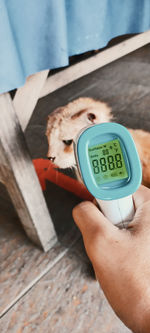 Cropped han of person aiming thermometer towards cat