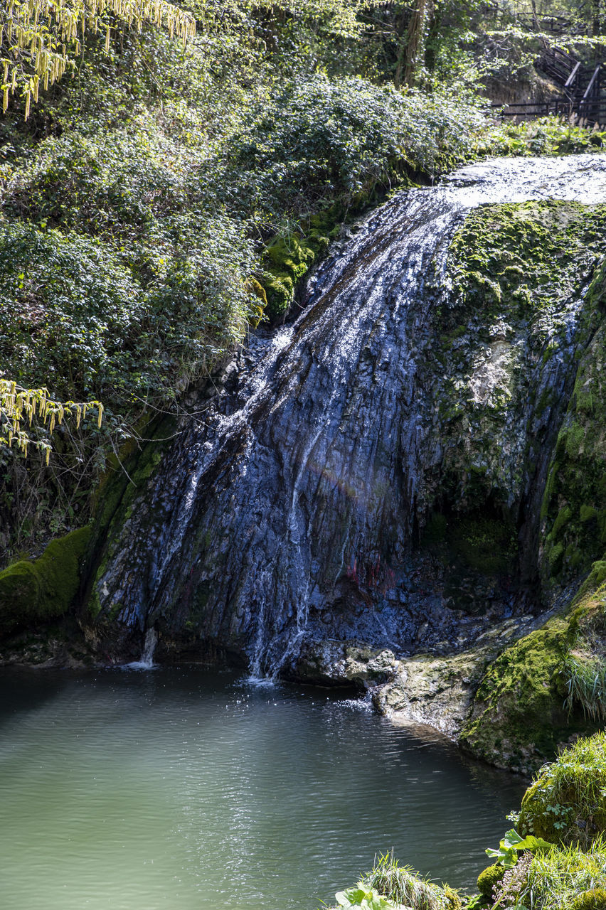 water, beauty in nature, body of water, river, plant, stream, nature, tree, scenics - nature, waterfall, forest, water feature, land, rock, no people, watercourse, environment, tranquility, flowing water, day, growth, non-urban scene, rapid, green, outdoors, tranquil scene, motion, idyllic, creek, landscape, flowing, wilderness