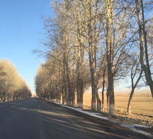 Road amidst bare trees against sky