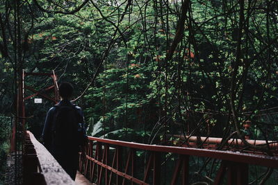 Rear view of man walking on footbridge in forest