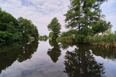 Reflection of trees in lake against sky