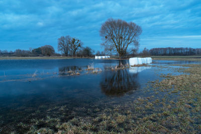 Water on the meadow, trees and cloudy sky