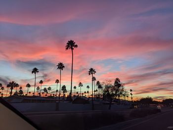 Silhouette palm trees against sky during sunset