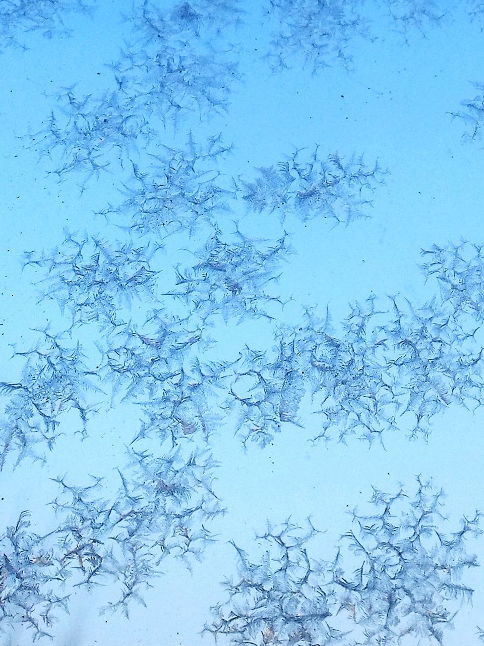 backgrounds, blue, abstract, ice, cold temperature, nature, full frame, textured, no people, window, pattern, day, winter, close-up, beauty in nature, ice crystal, indoors, fragility, snowflake, water, freshness, sky