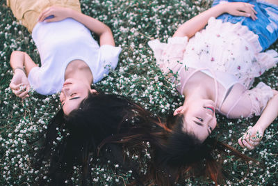 High angle view of young friends lying on flowerbed