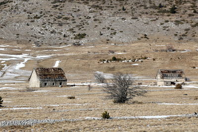 High angle view of horse on landscape