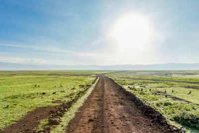 Dirt road amidst field against sky