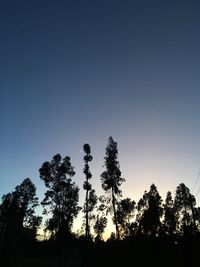 Low angle view of silhouette trees on field against clear sky