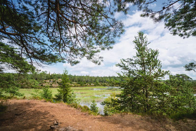 Scenic view of landscape against sky