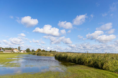 The flooded and green shore of the achterwasser in zempin on the island of usedom in the baltic sea 