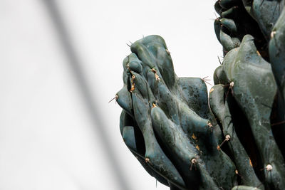 Low angle view of statue against sky