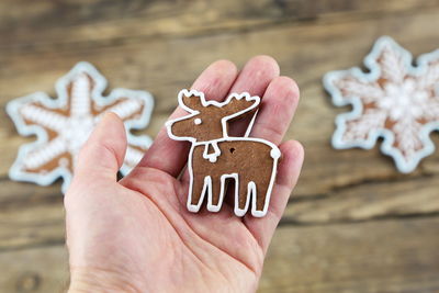 Close-up of hand holding gingerbread cookie