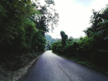 Road amidst trees in forest against sky