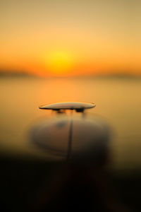 Close-up of silhouette plant against lake during sunset