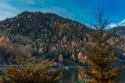 Scenic view of lake against sky during autumn