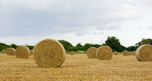 Hay bales on field against sky