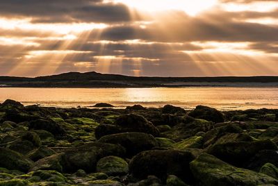 Scenic view of dramatic sky during sunset