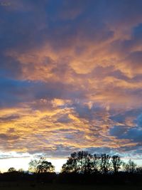 Silhouette trees against sky during sunset