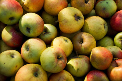 Full frame shot of apples