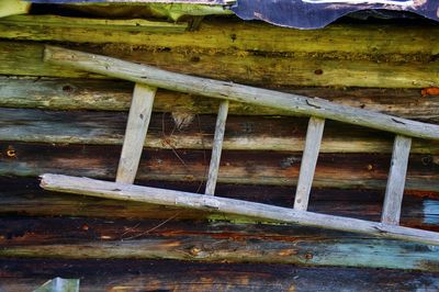 Full frame shot of wooden log in lake