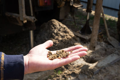 Cropped hand of person holding seashell