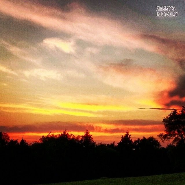 sunset, tree, silhouette, sky, tranquility, scenics, tranquil scene, beauty in nature, orange color, landscape, nature, cloud - sky, idyllic, field, growth, non-urban scene, outdoors, no people, cloud, dramatic sky