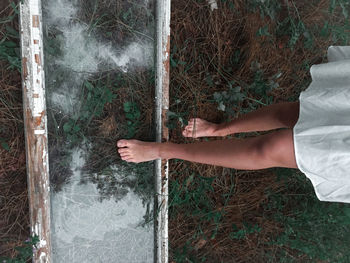 Low section of woman standing on plants by wooden frame outdoors