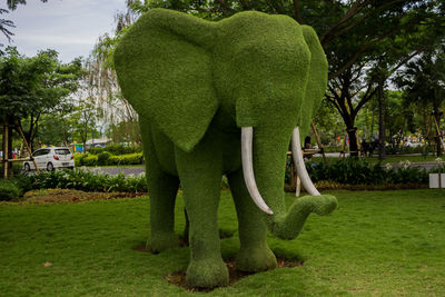 elephant