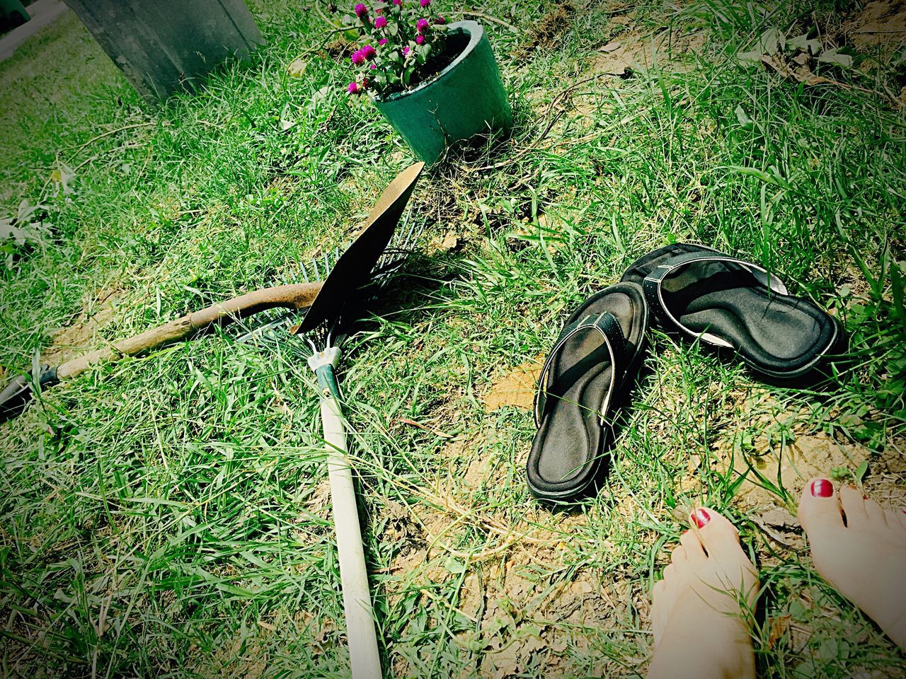 grass, green color, low section, high angle view, shoe, plant, person, personal perspective, outdoors, sunlight, day, lifestyles, growth, unrecognizable person, grassy, men, green